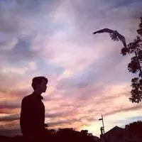 劉**